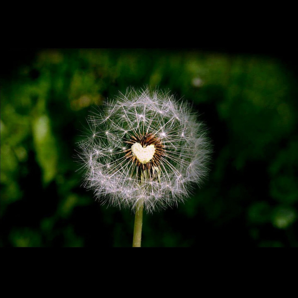 Meet your Posher, Suzette ritter